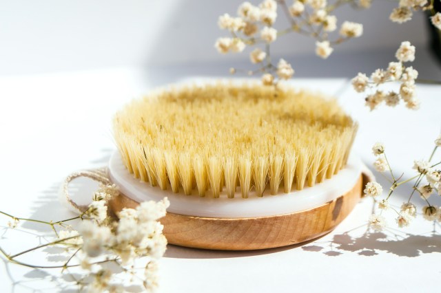 Still life image of a dry brush with little white flowers